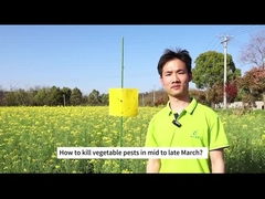 Agricultural Bio Insecticide cabbage caterpillar diamond backmouth larvae biological pesticide