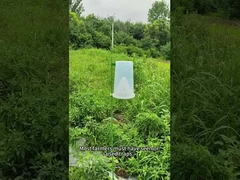 Pułapka szkodników Pułapka owadów Pułapka buraka robak wojskowy w kukurydzy kapusta robak brokuły pułapka