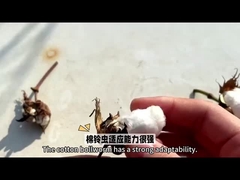 Najbardziej skuteczny wybór pestycydów biologicznych HaNPV Bt dla upraw bawełny