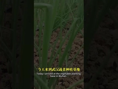 Połączenie zarodników bacillus i bakulovirusów może lepiej kontrolować szkodnik lepidopteran