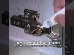 Biologiczny insektycyd żel na karaluchy, zabijający dorosłe osobniki, larwy i jaja, eliminacja karaluchów