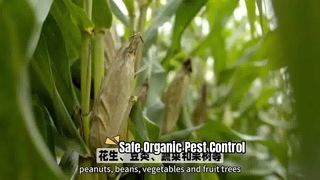 Organiczna kontrola szkodników dla zdrowych upraw