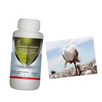 Cotton Organic Pesticide Without Chemical Residue Control Cotton Pepper Pests Oriental Tobacco Budworm