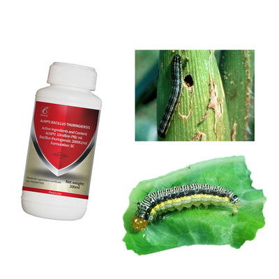 Non Resistance Pesticide Manufacturer Bio Insect Control AcNPV Bt Viral Preparation