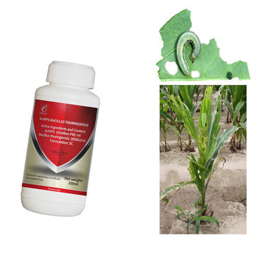 Examples of insect virus extract organic pesticide exporter for vegetable garden farm plant crop AcNPV