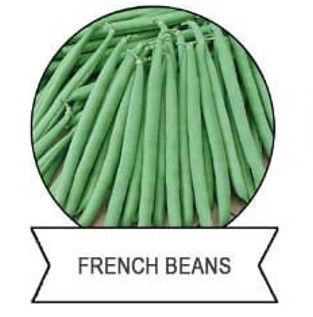 SeNPV Bt Kill Pest Population Number Spray Biopesticide Spodoptera Exigua Spodoptera Litura Plutella Xylostella