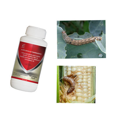 Targeted Pest Elimination Organic Pesticide Manufacturers Non Toxic Corn Vegetable Insecticide AcNPV